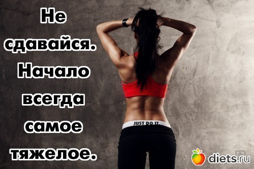 734181_61551nothumb500[1].jpg