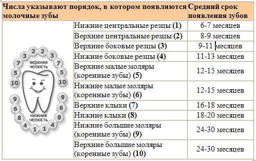 Posledovatelnost-prorezyvanija-zubov-u-grudnichkov.jpg