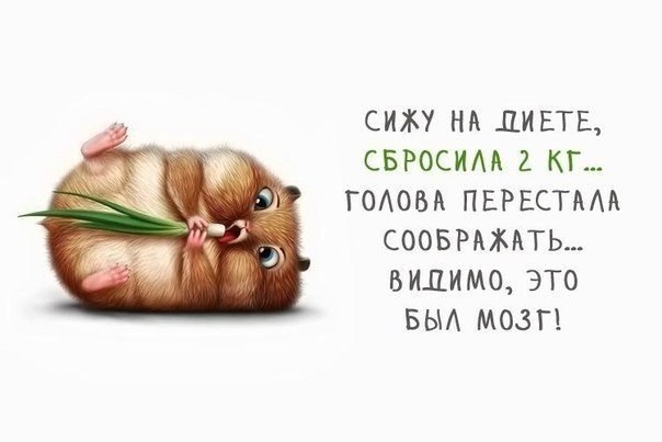 rUTD4JE-lTc.jpg