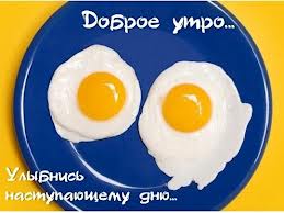 утро.jpg