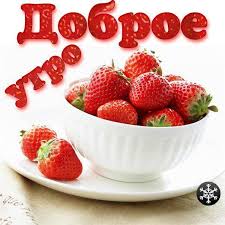 утро 2.jpg