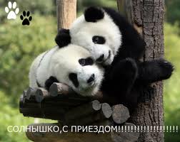 загруженное (2).jpg