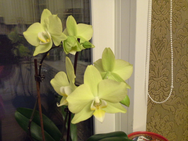 20140205_224313.jpg