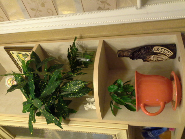 20140205_224429.jpg