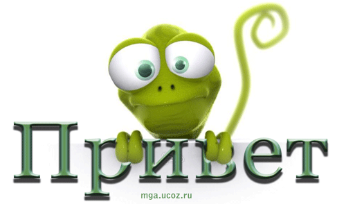 Funny-Gecko.gif
