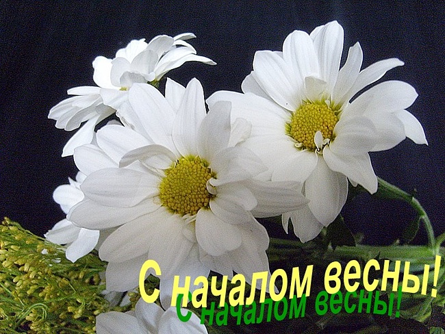 0c09f00dbfbce0ee96a808c748bdb186.jpg