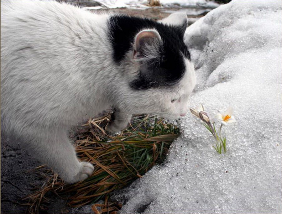 spring-10.jpg