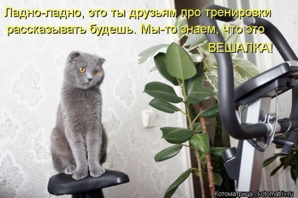 QaCHi2_-EVA.jpg