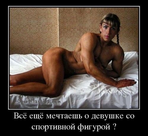 img_item_1003.jpg