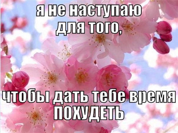 87IJirjfv3g.jpg