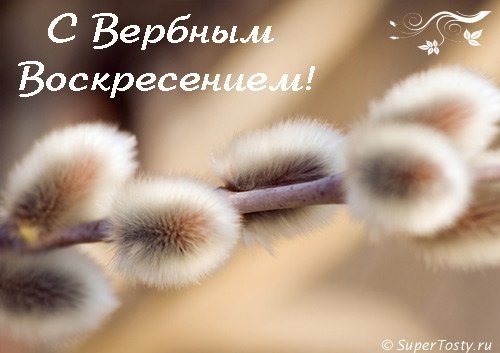 100308687_ArLBav1OCSE.jpg