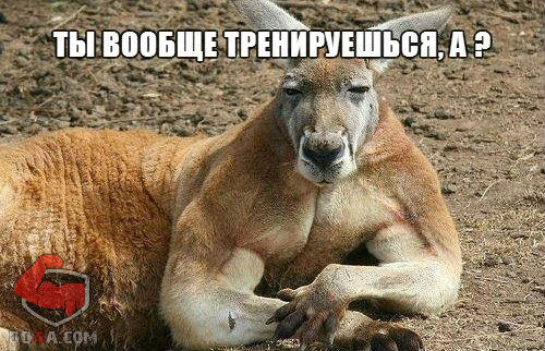 4dy-YhFJHRM.jpg