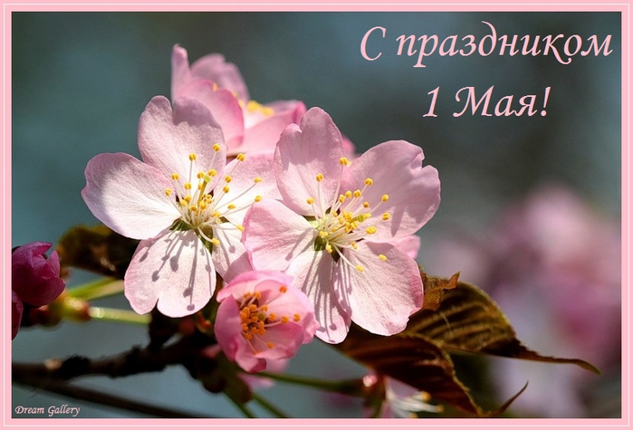 73896504_may19222.jpg
