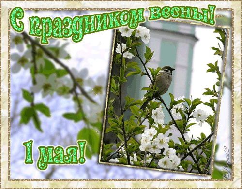 первомай.gif