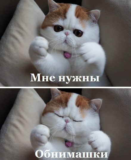 обн.jpg