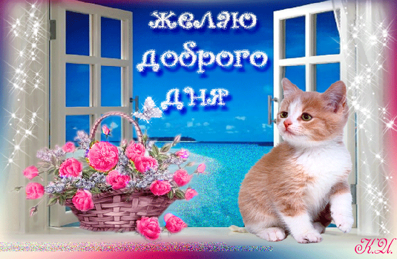 0_7e53f_fe15d087_XL.gif