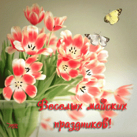 29365_m.gif