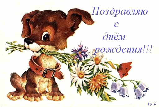 810729208.gif