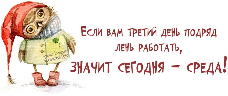 сред.jpg