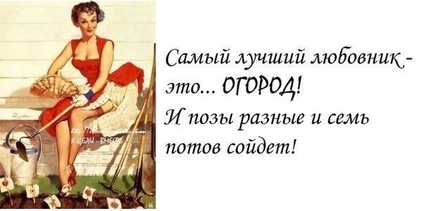 Снимок.JPG