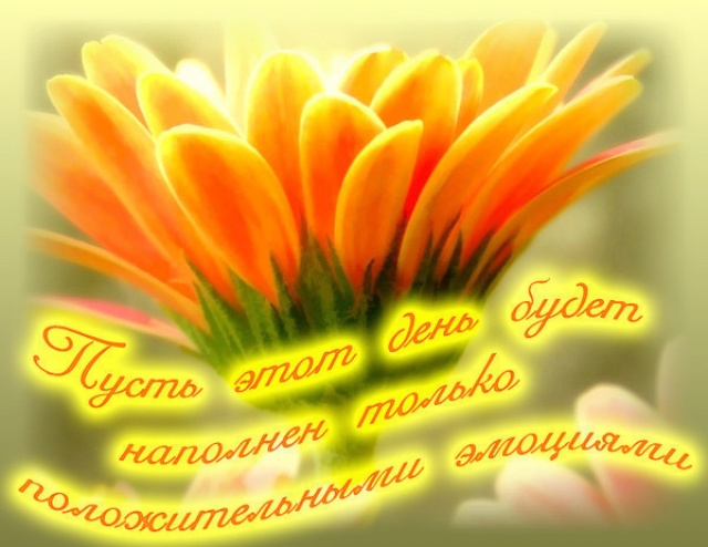 0b0a289baddf80e6ac53cb996cb9f401.jpg