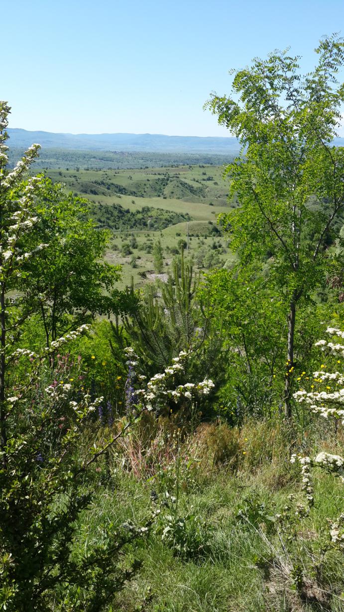 20140614_101555.jpg