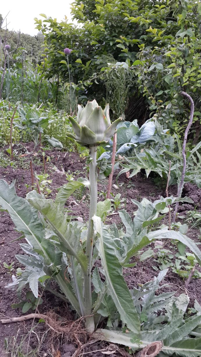 20140621_164507.jpg