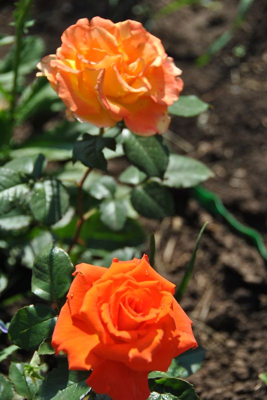 2011_20120131_1431748149.jpg