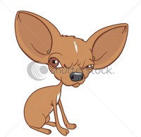 stock-vector-angry-chihuahua-7394098.jpg