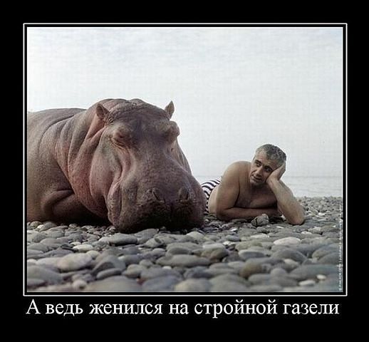 x_859e4347.jpg