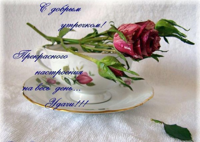 96640029_s_dob_ut.jpg