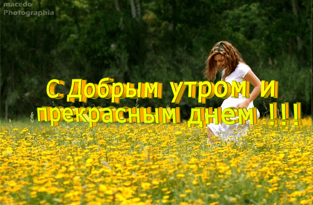 1283484793_good_morning_glitter_wallot_ru2044[1].gif