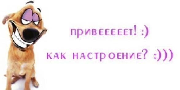 l_e754e1bd[1].png