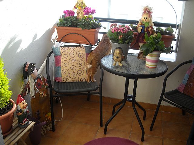 DSCN0033.JPG