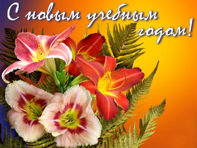 med_gallery_7164_754_35849.jpg