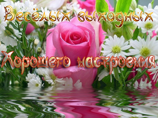 89589158__75795237_veseluyh_vuyhodnuyhRoza_otrazhaetsya_v_vodei[1].jpg