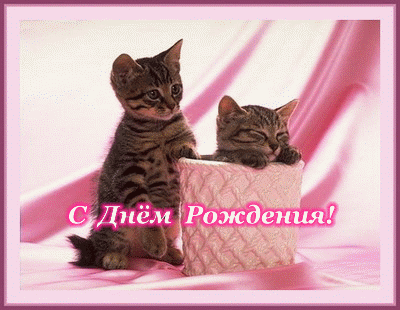 С ДНЕМ РОЖДЕНИЯ!.gif
