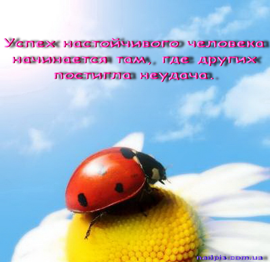 httpnadpis.com_.uauspex-nastojchivogo-cheloveka.jpg