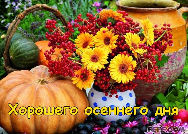 _2009102909270924650.jpg