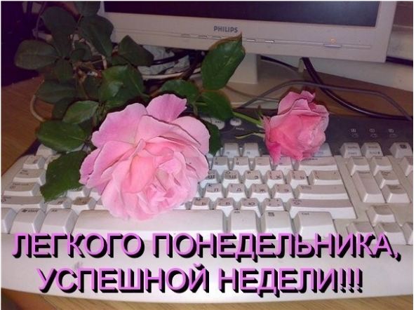 Снимок.JPG