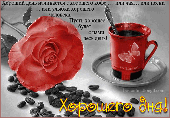 4008-Abissinka-abis-den-0053.gif