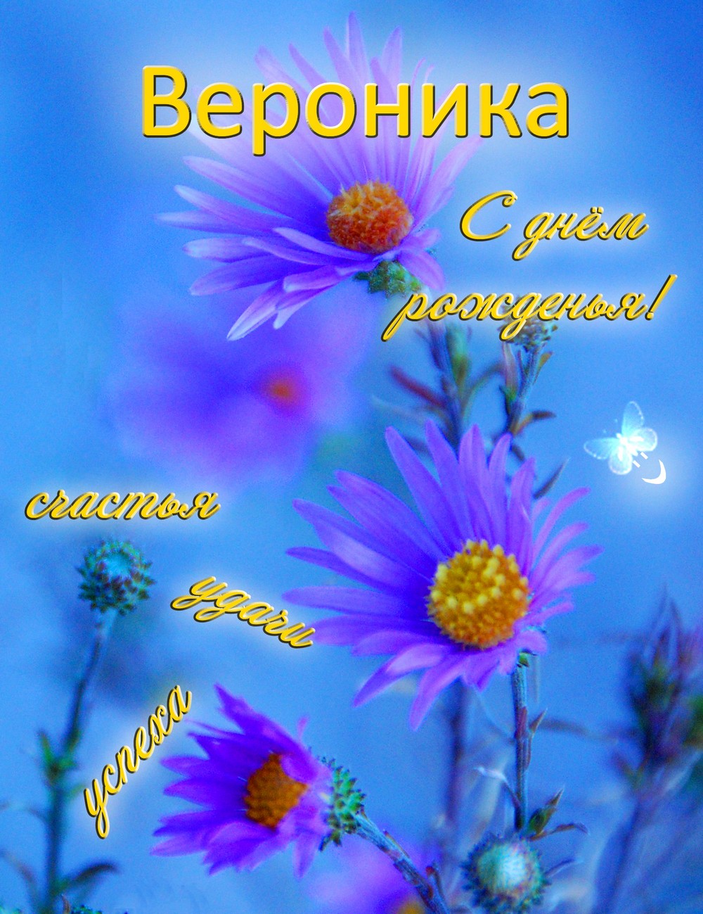 Вероника.jpg