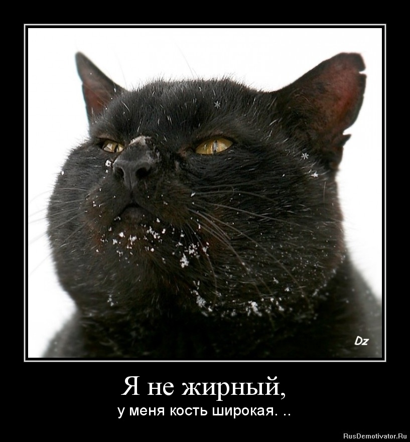 1320521035-ya-ne-zhirnyj.jpg
