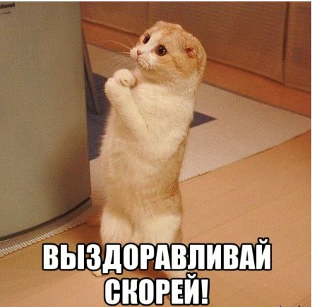Снимок.JPG