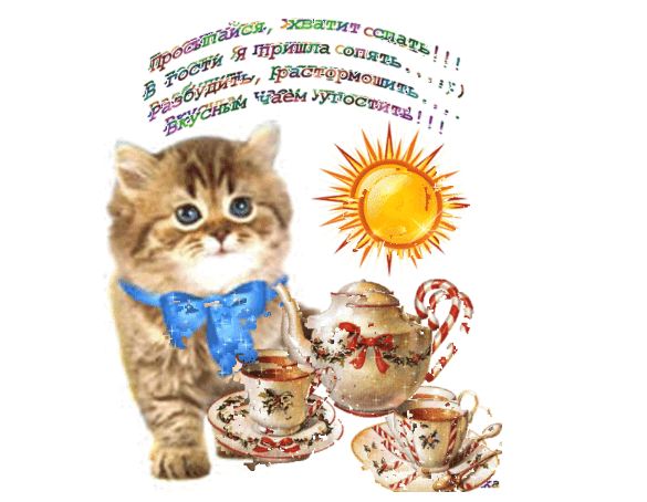 Снимок.JPG