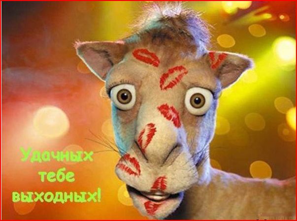 Снимок.JPG