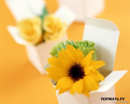 1205213238_26.jpg