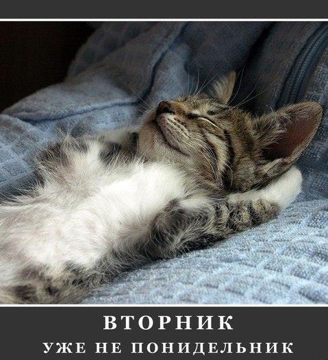 вторник.jpg
