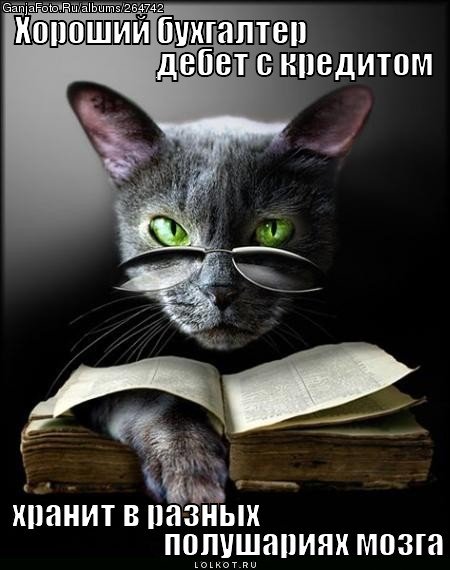 день бухгалтера.jpg