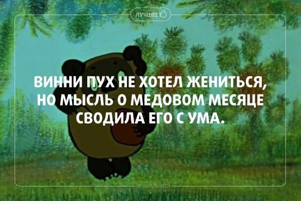 8M_5O-Znz18.jpg